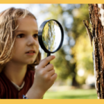 Früher mussten Kinder Antworten lernen. Heute müssen sie lernen, die richtigen Fragen zu stellen.